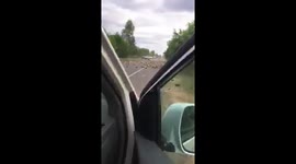 Hundreds of watermelons spilled from lorry