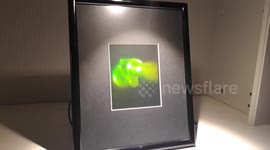 Incredible 3D hologram microscope lets you 'look into' its lenses