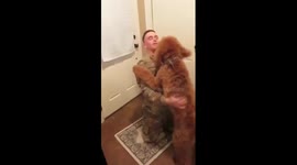 This golden-doodle didn’t know how to react when his dad came home from Afghanistan