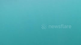 Orca encounter in New Zealand while diving.