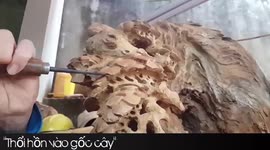 Thổi hồn vào gốc cây 