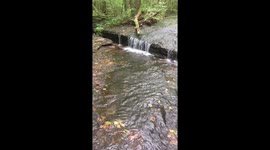 Small Stream Waterfall in Tennessee