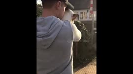 When you just don’t like railway lines