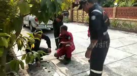 Kitten rescued with cherry picker crane after getting stuck in sewer