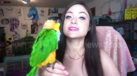 Animal lover shares her home with 90 pets