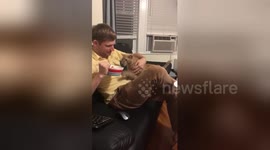 Greedy cat demands owner give up his bowl of tomatoes