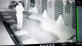 Leopard sighting triggers panic in Odisha's Palaspalli; Bhubaneswar DFO urges calm