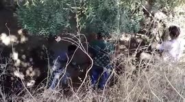 Puppies rescued by locals from a pit in Madhya Pradesh's Dhar district