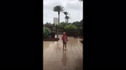 temp