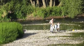 Family Goes WILD SWIMMING in Very Low River WYE in Gloucestershire, Lydbrook ~ Summer Heat Wave 2018