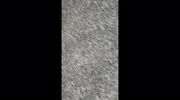 temp