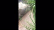 temp