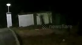 Longer version_Leopard sighting triggers panic in Odisha's Palaspalli; Bhubaneswar DFO urges calm