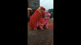 广东阳江 元宵舞狮现场 大跌眼镜一幕