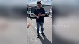 Drivers stop traffic to rescue kitten from underneath car on Thai motorway