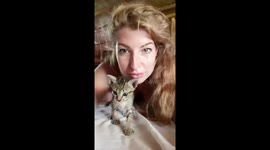 Hilarious shocked kitten