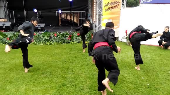 Silat Martial Art Performance