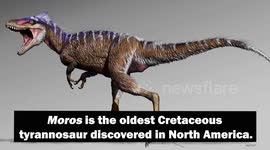 Tiny ancestor of king of the dinosaurs discovered