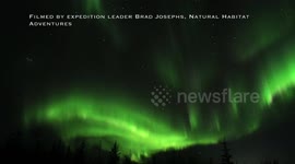 Real time aurora footage, Churchill, Manitoba, Canada
