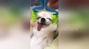 temp