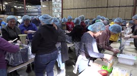 GlobalMedic in Canada and Danby Appliances Packing Emergency Food Kits for Syrian Families in war zone