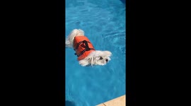 A relaxing day in the sun ☀️