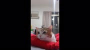 temp