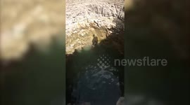 Hyena rescued from well in Madhya Pradesh's Mandsour