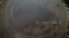 Revenge is my last name