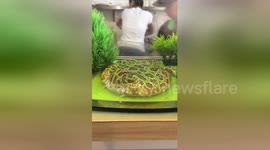 Is that on the menu? Rare pancake-like frog displayed at Taiwan cafe