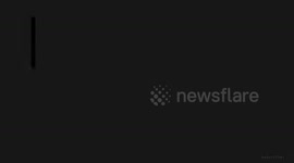 Las pilladas de cupido - 14 febrero 2019 especial de cupido en colombia