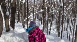 Downhill Skiing At The Porkies