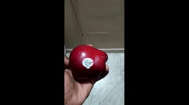 wax apple