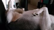 temp