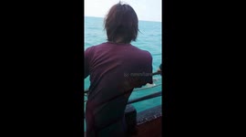 Heartwarming moment stranded turtle is rescued while trapped in fisherman's net