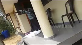 Bravado backfires as cobra bites amateur man trying to catch it