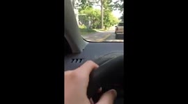 The Cicadas return! - Northeast Ohio, 2016