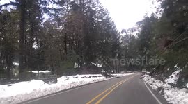 Snowstorm Leaves Behind Devastation in rural Oregon