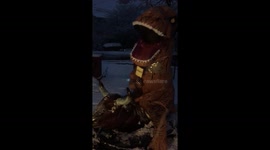 US Winter Storm T-Rex Weather Report No Bull