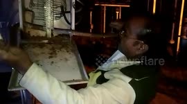 Coils not cables! Snake rescued from electric box in northern India