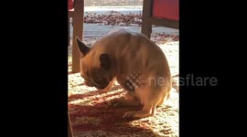 When you’re single on Valentine’s Day