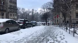 EXTREME WEATHER IN NEW YORK TREES ON THE CARS