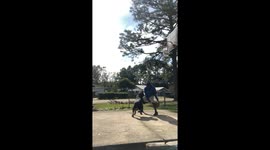 Playing Basketball with My Boy Rottweiler