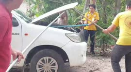 Driver terrified after finding 16ft long king cobra inside her car engine