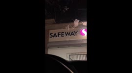 Way Way Safe Way