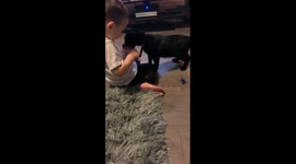 Cat sharing a yoghurt