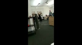 I have the world's most obnoxious laugh https://t.co/NC0H6VS868