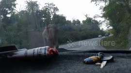 Terrified couple hide as elephant raids their car in Thailand