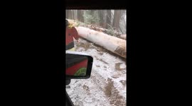 Moving fallen tree trunk in snow storm