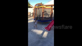 Parents buy child a trampoline only for her to run circles around it